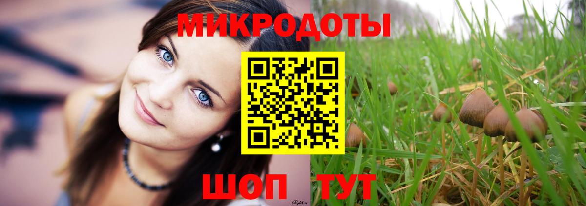 Псилоцибиновые грибы прущие грибы Холмск